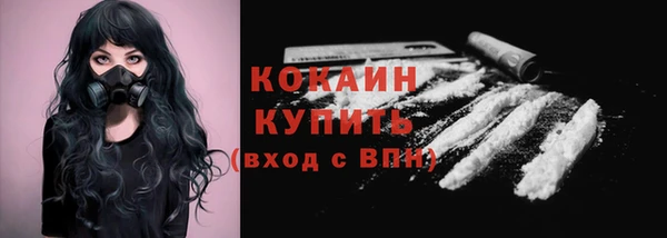 прущие грибы Армянск