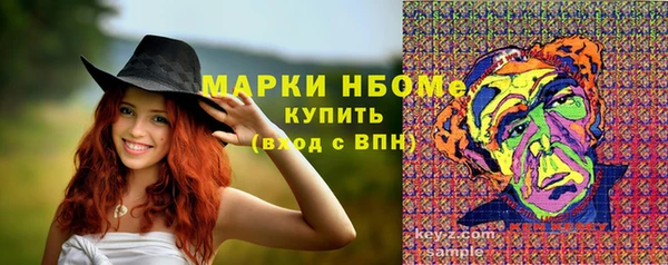 прущие грибы Армянск