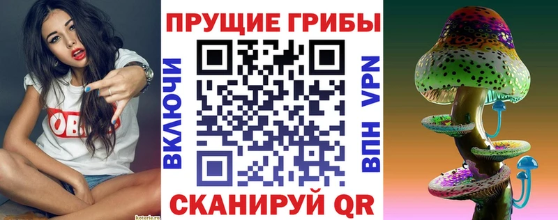 Псилоцибиновые грибы Cubensis  Любань 